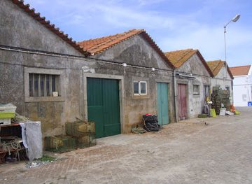 portugal/viana-do-castelo/attraction/docas