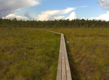 estonia/jogevamaa/attraction/selli-sillaotsa-study-trail