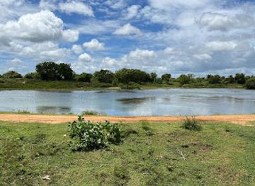 sri-lanka/bundala-national-park/attraction/jayasena-wawa