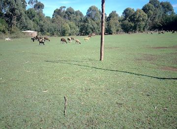 kenya/mount-kenya/attraction/discovery-tours-kenya