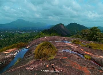 sri-lanka/kurunegala-district/attraction/maraluwawa-rajamaha-viharaya