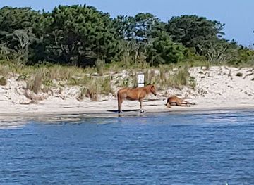 virginia/assateague-island-national-seashore/attraction/ocean-city-md-usa