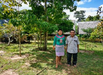 peru/south-coast/attraction/mai-niti-ayahuasca-plant-medicine-healing-center