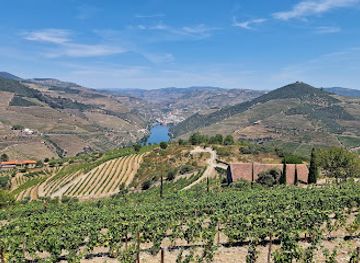portugal/douro/attraction/mira-douro