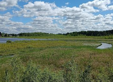 finland/kanta-hame/attraction/hattelmalanjarvi-bird-watching-tower