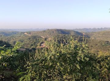 bangladesh/lawachara-national-park/attraction/poddo-chora-lake