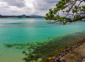 japan/okinawa/attraction/busena-marine-park