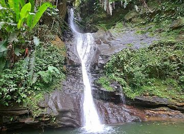 trinidad-and-tobago/asa-wright-nature-centre/attraction/tombasson-waterfall