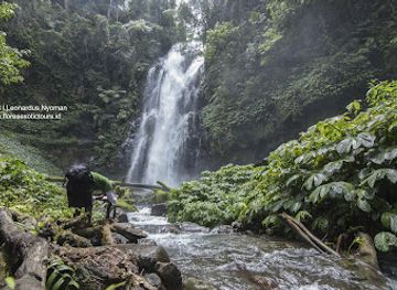 indonesia/east-nusa-tenggara/attraction/cunca-rede-waterfall