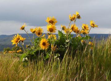 wyoming/green-river/attraction/green-river-parks-recreation