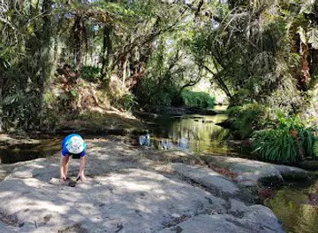 Puketoki Reserve