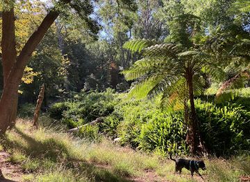 south-africa/cape-town/constantia/attraction/klaasenbosch-greenbelt-trail