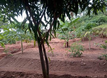 tanzania/mwanza/attraction/gpkiib-ghelahsikoh-simagh