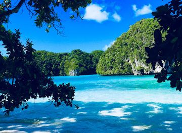 palau/jellyfish-lake/attraction/ngermeaus-island-park
