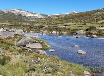 australia/kosciuszko-national-park/attraction/main-range-walk