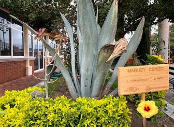 mexico/oaxaca/attraction/mezcal-el-rey-de-matatlan