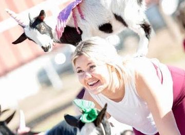 arizona/tempe/attraction/baby-goat-yoga