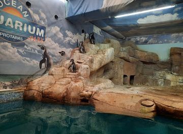 cyprus/konnos-beach/attraction/ocean-aquarium