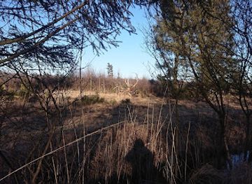 denmark/south-zealand/attraction/holmegards-mose