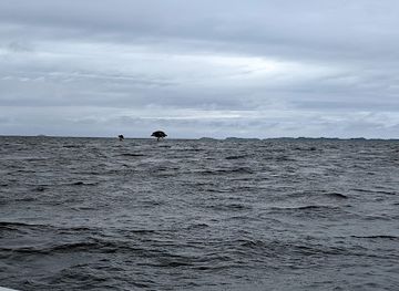 fiji/nausori/attraction/the-tree-at-bau