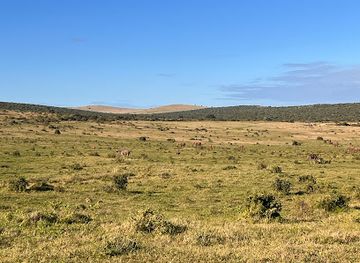 south-africa/addo-elephant-national-park/attraction/peasland-waterhole