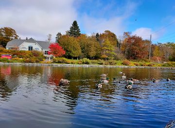 canada/atlantic-canada/attraction/rockwood-park