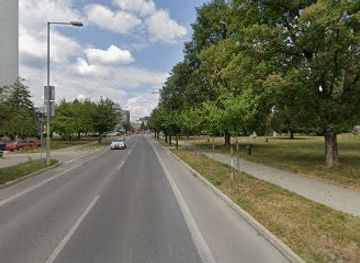 slovakia/trencin/attraction/beautiful-sakuras