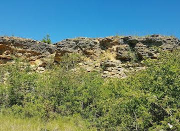 france/lorraine/attraction/reserve-naturelle-regionale-de-la-cote-de-delme