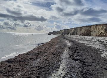 denmark/gedser-odde/landmark/trappe-til-stranden