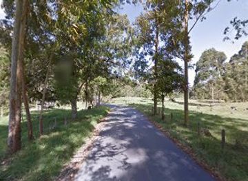 colombia/cocora-valley/attraction/salento