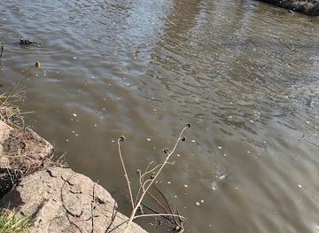 colorado/denver/attraction/s-platte-river-trail