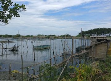 philippines/ilocos-region/attraction/paoay-sand-dunes-adventures-suba