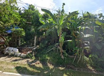 philippines/siquijor/attraction/san-juan-siquijor