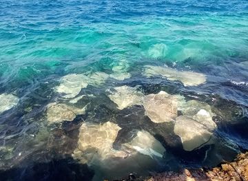 maldives/male/attraction/stingrays-watching