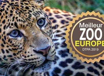 belgium/walloon-brabant/attraction/pairi-daiza