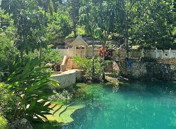 jamaica/montego-bay/attraction/blue-hole-gardens-roaring-river