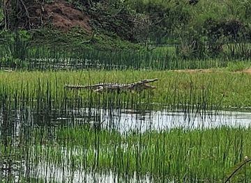 rwanda/akagera-national-park/attraction/akagera-reception-south