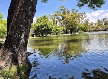 argentina/buenos-aires/attraction/lago-palermo