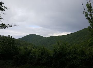 hungary/matra-mountains/attraction/disznokoi-forras