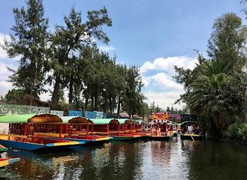mexico/mexico-city/attraction/parque-ecologico-de-xochimilco