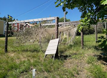 sweden/norrland/attraction/ulvo-museum