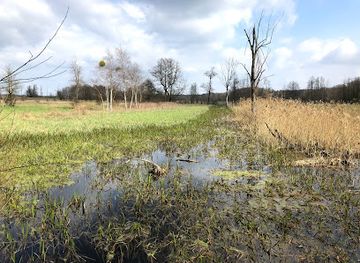 poland/kampinos-national-park/attraction/obszar-ochrony-scislej-zaborow-lesny