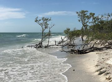 florida/honeymoon-island-state-park/attraction/oasis-beach