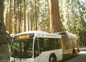 california/sequoia-national-park/attraction/giant-forest-museum