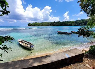 jamaica/port-antonio/attraction/portie-tours