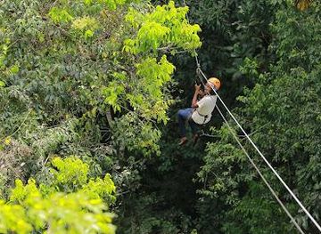 uganda/kampala/attraction/mabira-forest