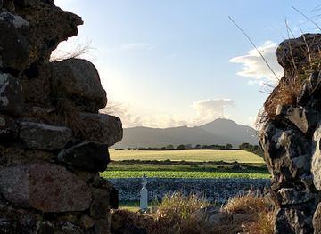 ireland/county-louth/attraction/kilwirra-church-ruins