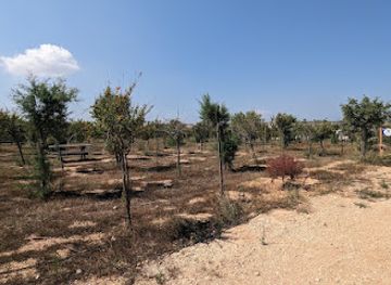 malta/southern-region/attraction/benghisa-family-park