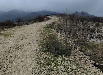 greece/samos/attraction/uu