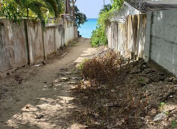 barbados/east-coast/attraction/gibbes-beach